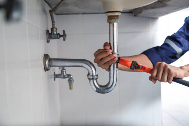 Best Leak Detection Services  in Craig, AK